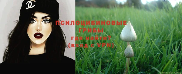 дживик Алзамай