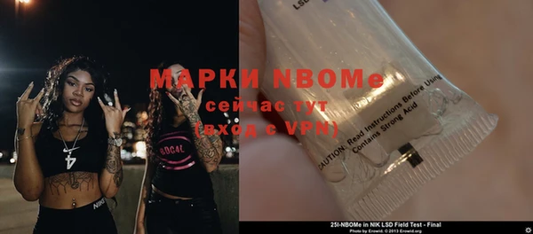 шишки Алексин