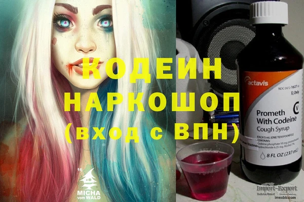 шишки Алексин