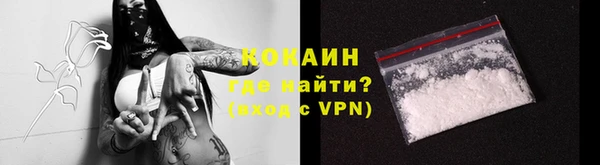 дживик Алзамай