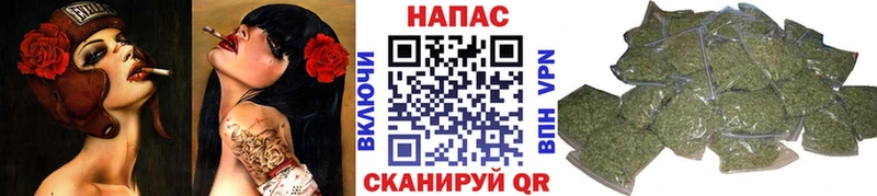 Бошки Шишки OG Kush Княгинино